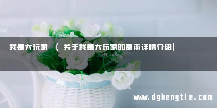 我是大玩家 (关于我是大玩家的基本详情介绍)